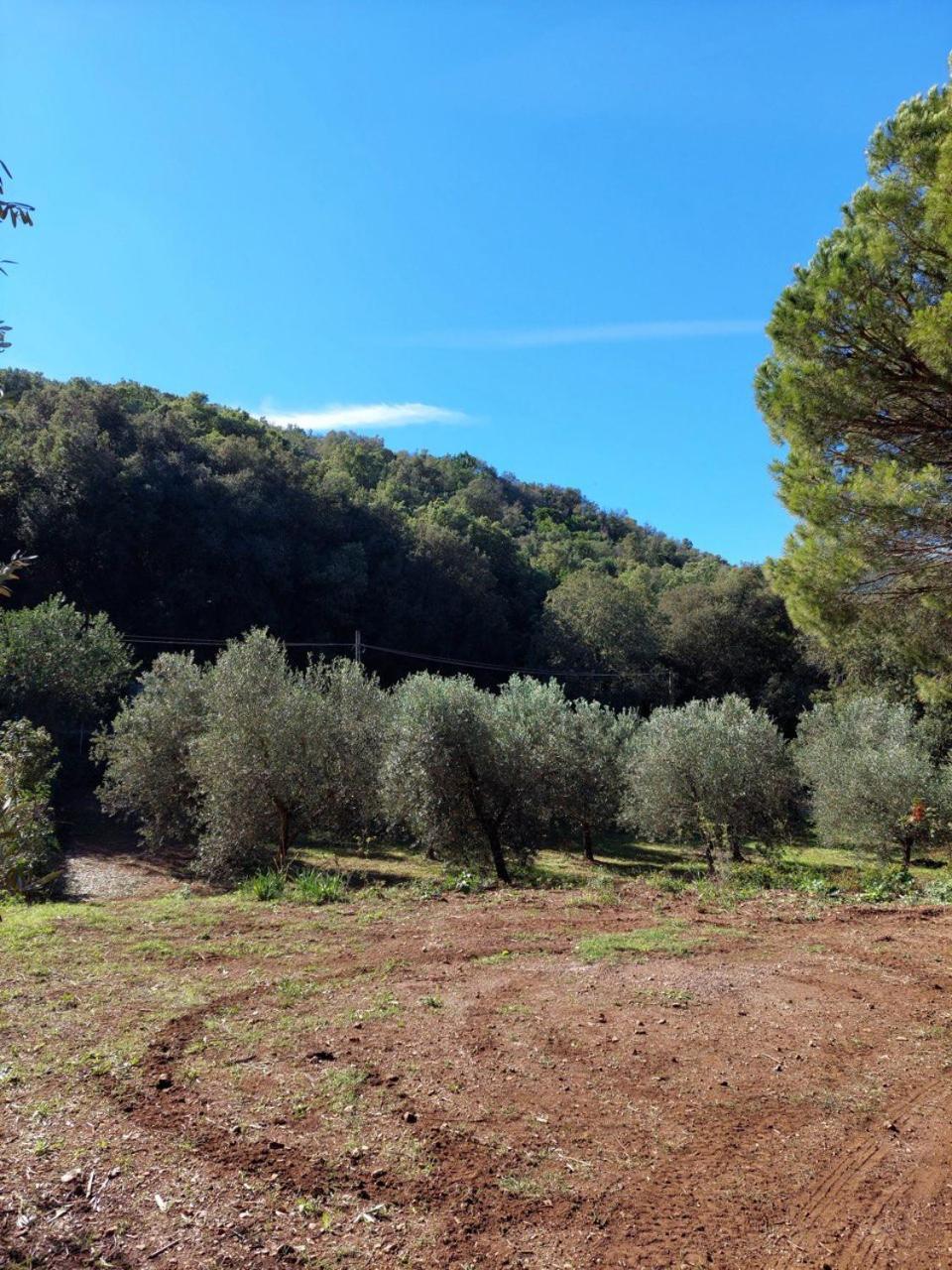 Agriturismo Paradisa Rio dellʼElba Dış mekan fotoğraf